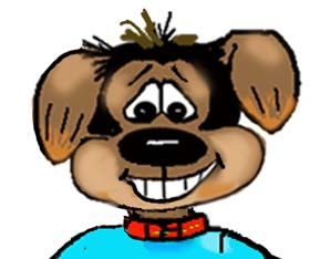 Request a dog grooming article.
